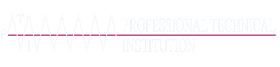 Professional Technical Institution